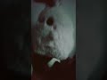 penguin and panda are talking together and then ghosty comes up #cute #ghost #text #penguin #panda
