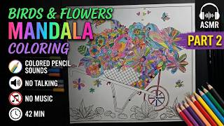 Relaxing Birds & Flowers Mandala Coloring ASMR 🌿 Part 2 | Colored Pencil Sounds (42 Min)