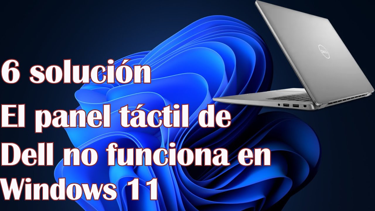 El panel táctil de Dell no funciona en Windows 11 - 6 solución