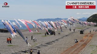 【速報】こいのぼり250匹元気に 三重・熊野の海岸