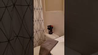 Modern 1 Bedroom Apartment Home at Westerlee Apartments