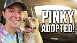 Finally A Family For Pinky!!!!