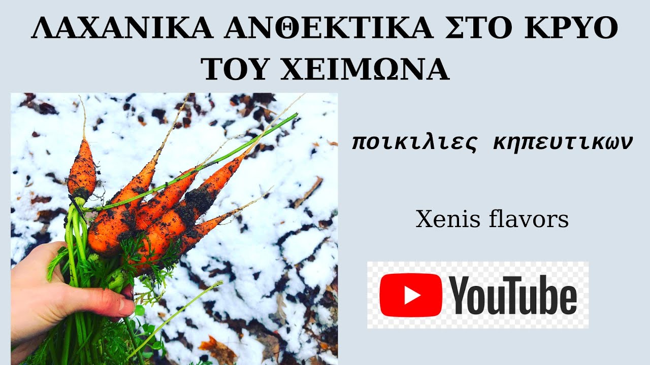 Λαχανικα Ανθεκτικα στο Κρυο!Νέες ποικιλίες κηπευτικων!Εναλλακτικές καλλιεργειες!