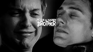 Peter Parker & Harry Osborn · Brother