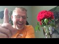 Things I've learned being a "YouTube Star" lol