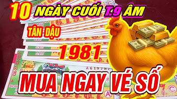 Trời cao báo tin Tuổi TÂN DẬU 1981 TRÚNG SỐ ĐỘC ĐẮC CỰC GIÀU CÓ đúng 10 ngày cuối T9 âm