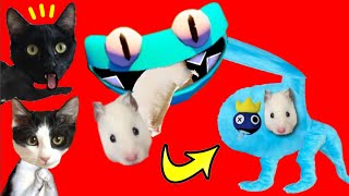 Blue y Cyan 24 horas embarazada de Rainbow Friends 2 vs hamster Videos de gatos Luna y Estrella