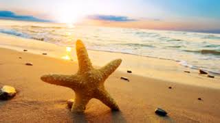 Alen Veziko & Rosanna Lints - Sinu poole teel