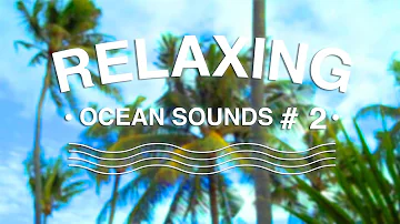 1 HOUR RELAXING CALMING OCEAN WAVE SOUNDS. Palm trees under a blue sky.