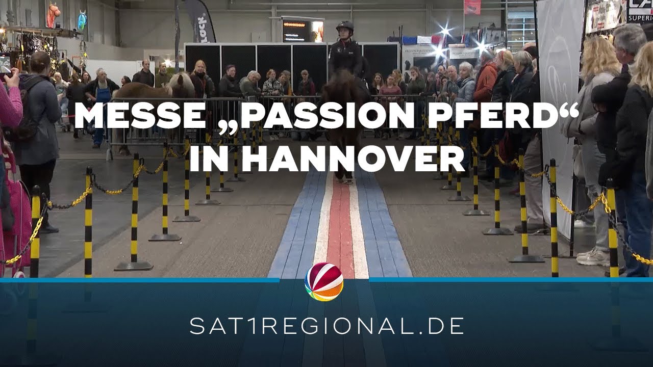 „Passion Pferd“ in Hannover: SAT.1 REGIONAL-Reporterin besucht Messe rund ums Reiten und Halten