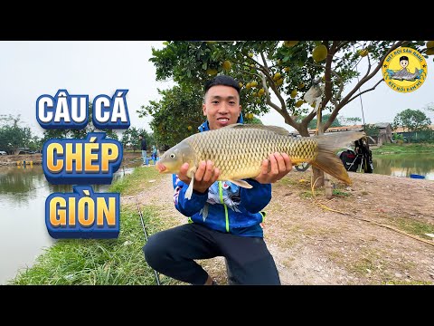 Câu Cá Chép Giòn Mùa Đông ở Hồ Câu Chuyên Giòn?