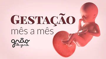 Como saber se meu bebê e PIG?