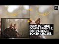 HOW TO TONE DOWN Bright and Distracting Bokeh in Portrait Backgrounds