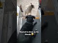 A doggone good Workday 🐾💙 #dogs #deliverydrivers #work #cutedog