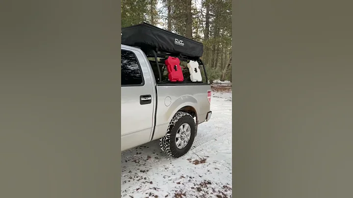 Have you ever cut down your own Christmas tree in Arizona?
