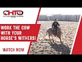 Work the cow with your horses withers