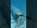 Ships