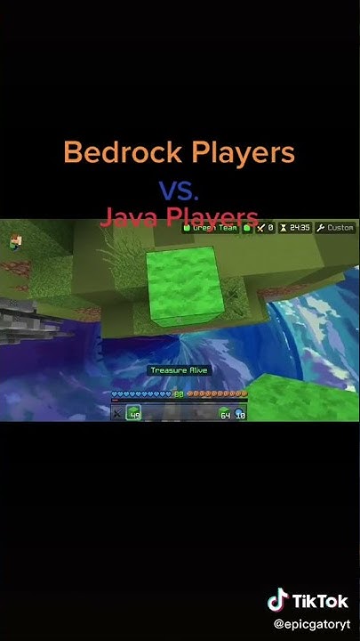 bedrock players vs java players - YouTube