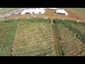 Pannar Seed Field Day Biessiesvlei 2015 Pannar Seed Field Day Biessiesvlei 2015
