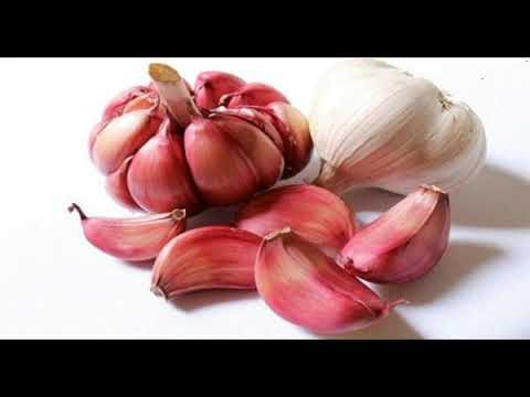 put-a-clove-of-garlic-in-your-mouth-and-wait-for-a-few-minutes-you-will-not-believe-what-will-happe