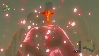 shee vaneer launch + soccer korok