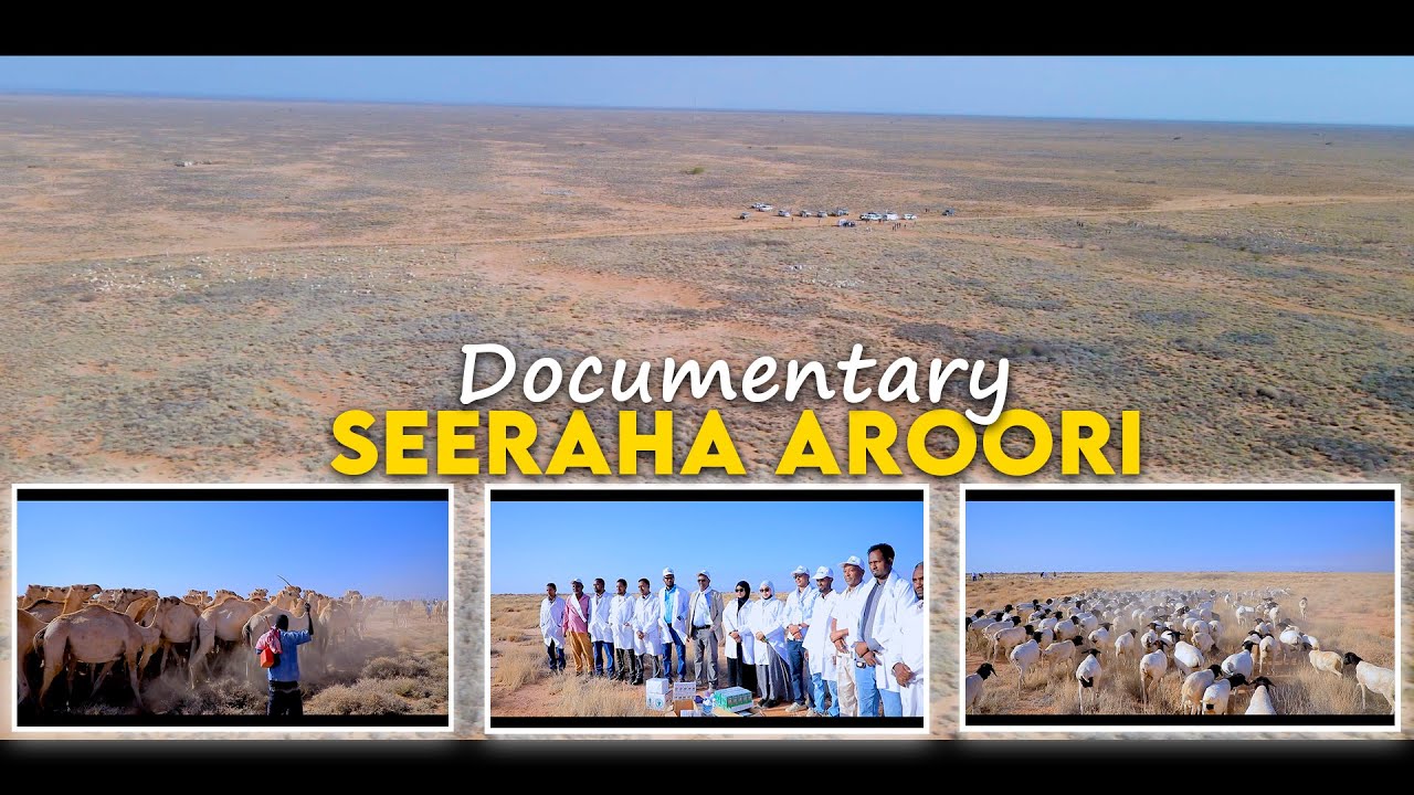 Documentary: Furitaanka Xilli Daaqsimeedka Seeraha Banka Aroori