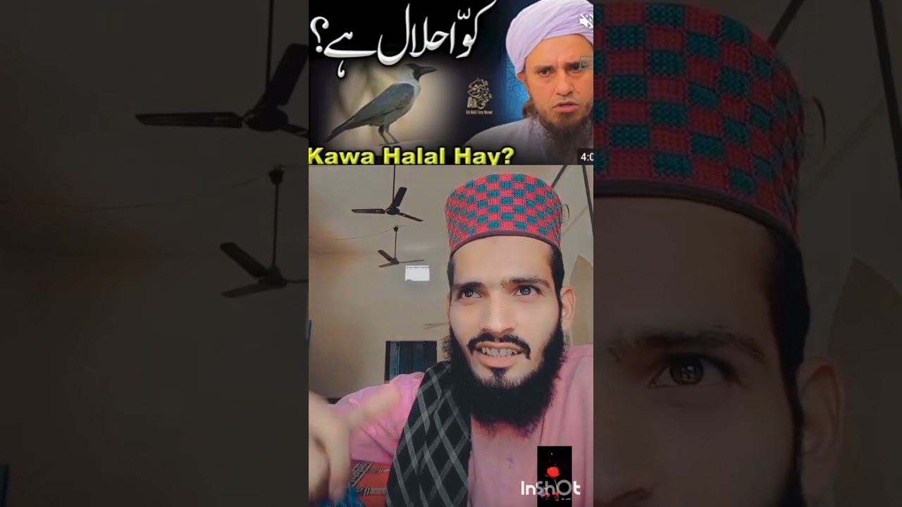 wahabi harami dewbandi harami
