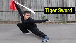 Shaolin Kung Fu Wushu Tiger Sword Training Session 2 screenshot 3