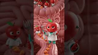 Rahasia BAB Lancar? Apel Solusinya! 🍎