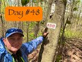 AT 2.0 Day #048
