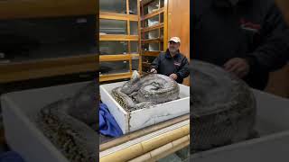 Grumpy giant snake bit me 😳 full video on channel 🤦‍♂️