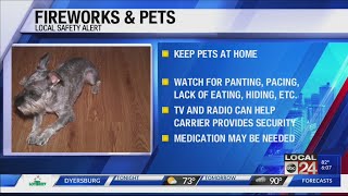 Warning for pet owners about fireworks