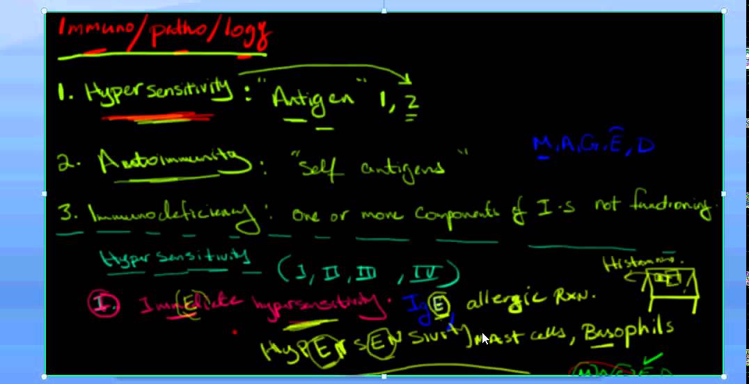 Immunopathology Hypersensitivity immune system, immunity, and immune responses