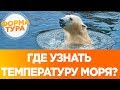 Где узнать температуру моря? Сайты информеры