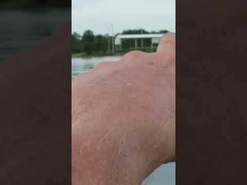 camera iphone 8 plus apk Fishing on the Kissimmee River 05.