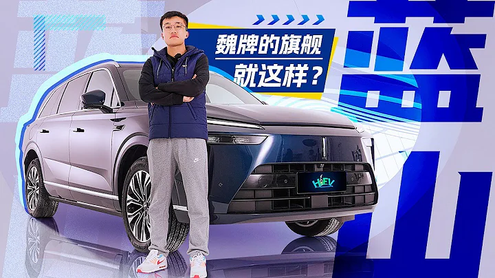 轴距更长，价格更低，WEY魏牌蓝山比理想L8更出色吗？ - 天天要闻