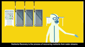 Nutrient Recovery from Wastewater