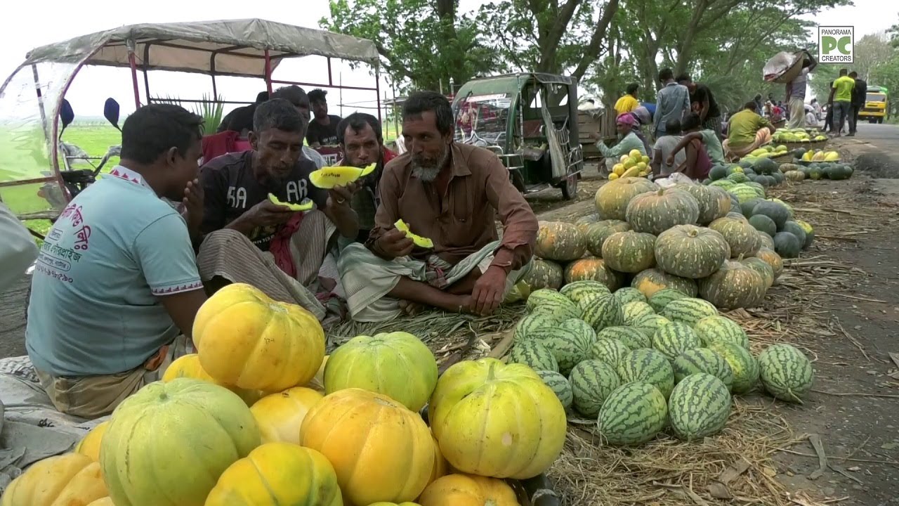 Фестиваль вкусных арбузов, дынь и сладких тыкв в Чаланбиле