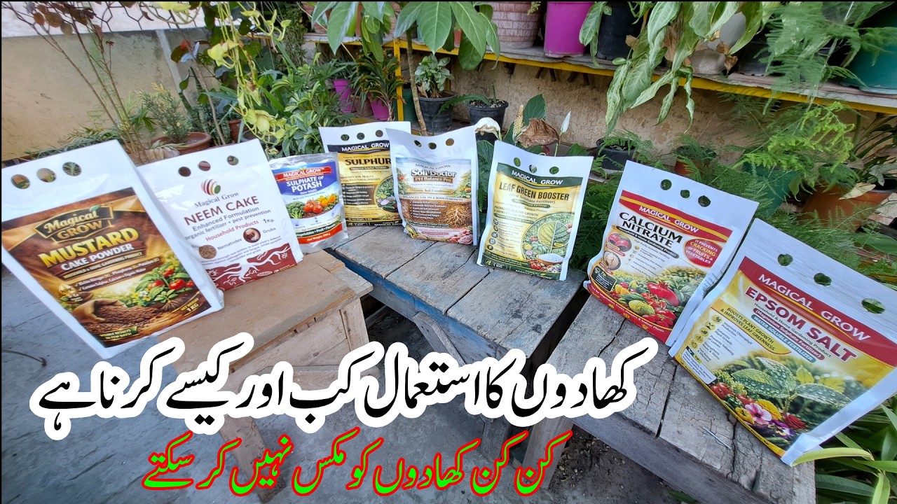 Best Fertilizers for Plants Explained | NPK Fertilizer Guide | Which Fertilizer to Use and When