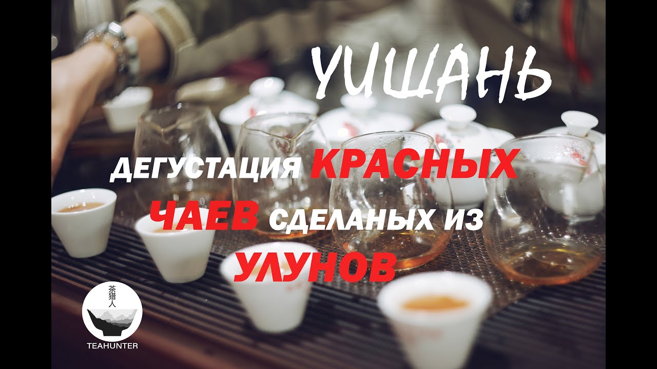 Дегустация красного чая в Уишань