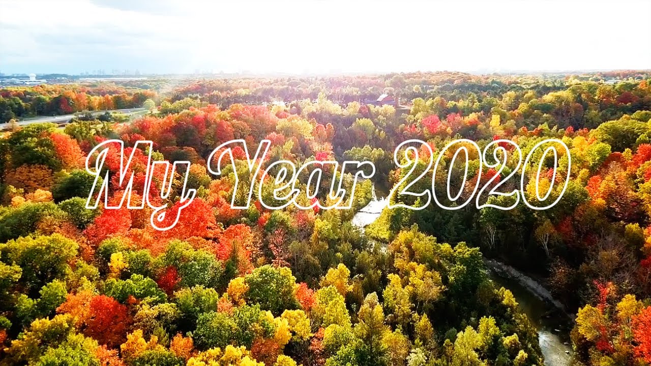 回顾我的2020 | up主心得 | 年终奖 | 当妈的遗憾 | 乘风破浪的姐姐