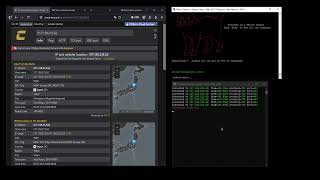 MIRO API / C2 / BOTNET | RAW - BYPASS  METHODS