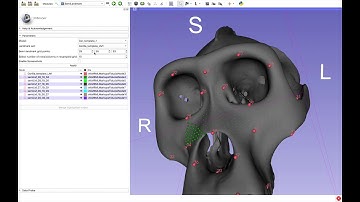 SlicerMorph patched based semi-landmarking (Part 1)