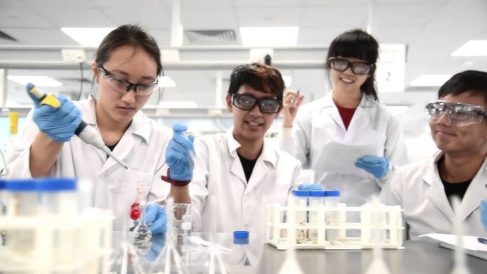 NUS Chemistry Department Video 2016 - YouTube