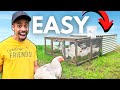 SUPER EASY Small Scale Chicken System