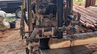 Ultimate Precision: High-Tech Sawmill Turns Giant Logs into Perfect Lumber