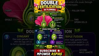 Double Fertilization in Flowering plants