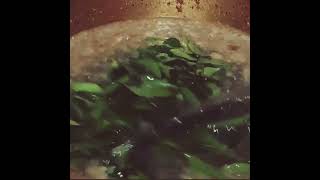 Preparation of ayurvedic hair oil ..Shallots, Aloe Vera, Curry leaves, Coconut oil  homemade