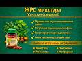 ЖРС микстура Curcuxan Compound капсулы