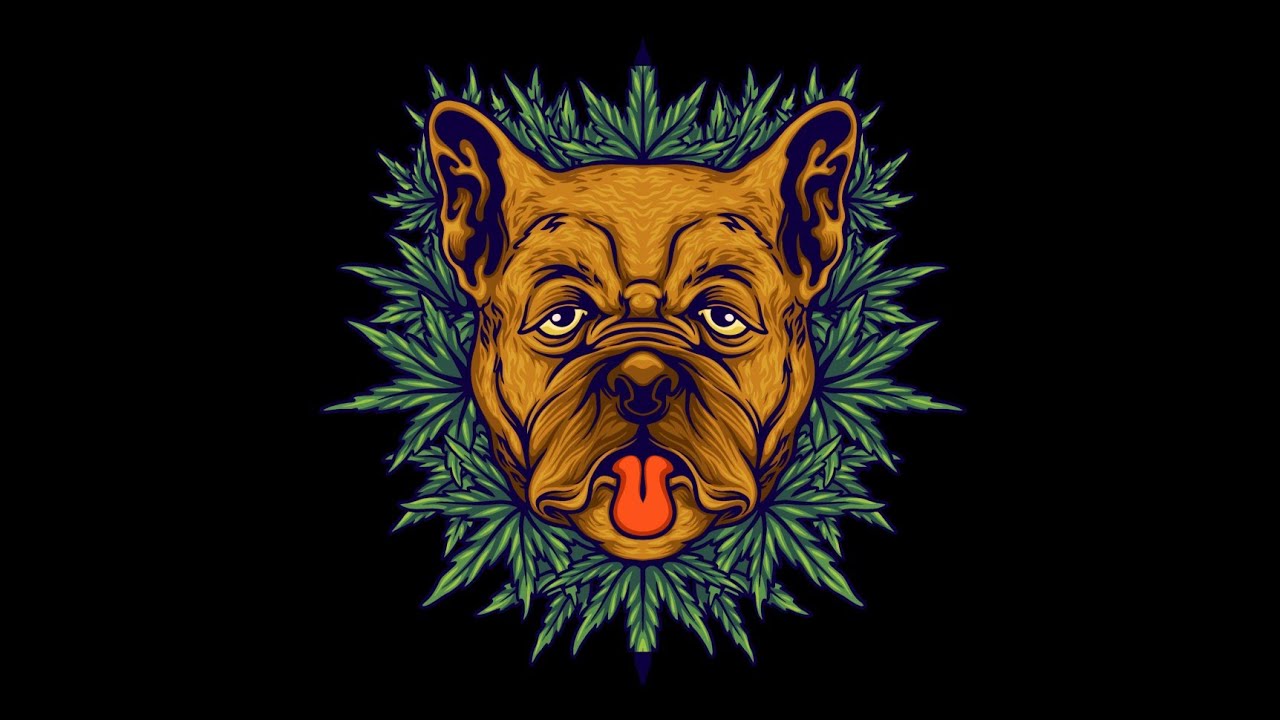 [FREE] Diss Track Type Beat - "CANINE" | Aggressive Rap Beat 2022 Instrumental Freestyle Beats 2022